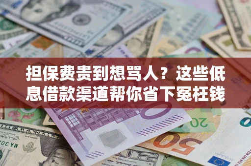 北京担保费贵到想骂人？这些低息借款渠道帮你省下冤枉钱