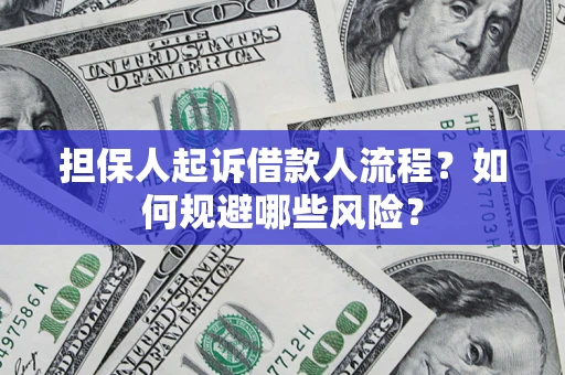 北京担保人起诉借款人流程？如何规避哪些风险？