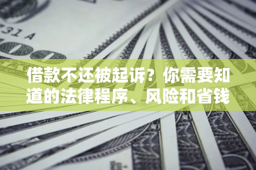 北京借款不还被起诉？你需要知道的法律程序、风险和省钱技巧
