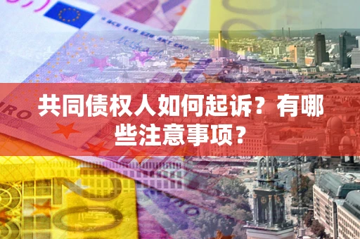 北京共同债权人如何起诉？有哪些注意事项？